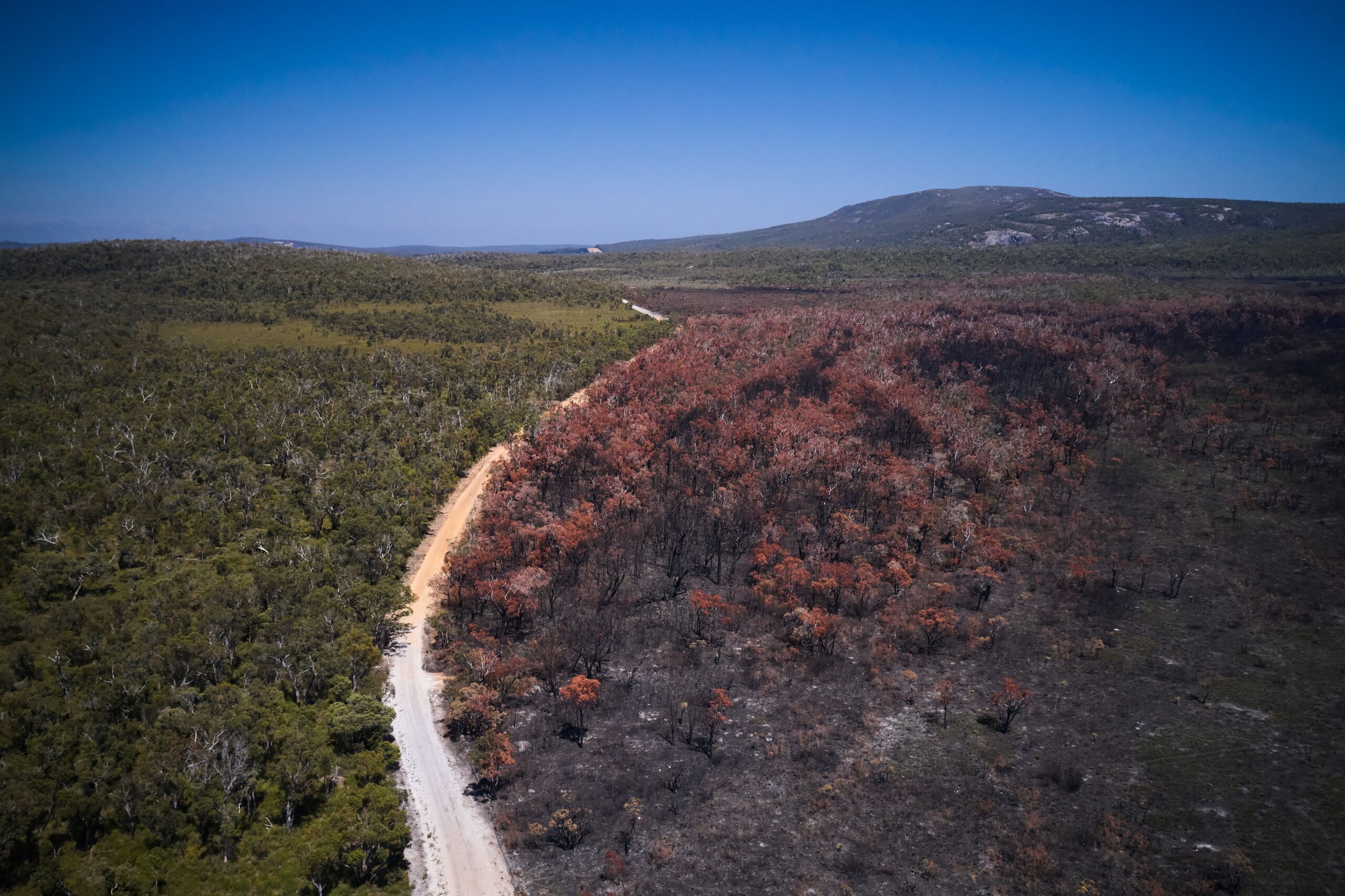 Denbarker_DBCA prescribed burn_8,600 ha_Mt Lindesay National Park_Core aerial ignition_8th Nov 2019_Credit-Roger D'Souza, 17th Dec 2019